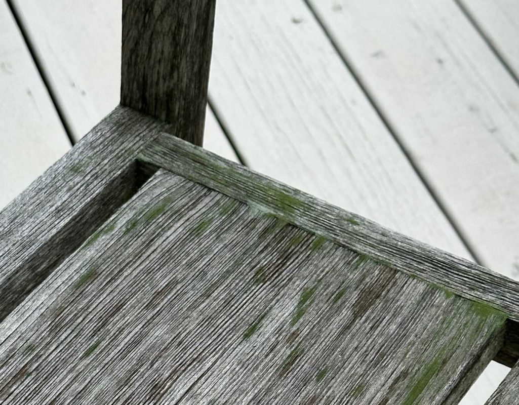 removing mold from teak