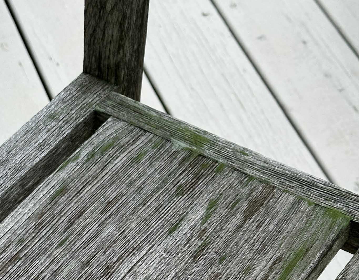 removing mold from teak